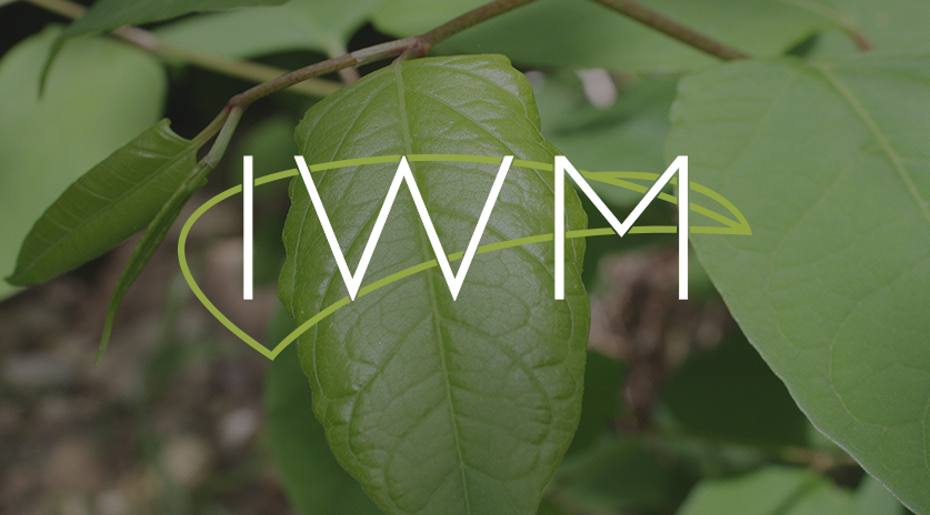 IWM Website Image